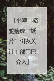 平潭一骆驼瘦成“纸片”引发关注！部门已介入