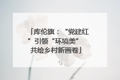 库伦旗：“党建红”引领“环境美” 共绘乡村新画卷