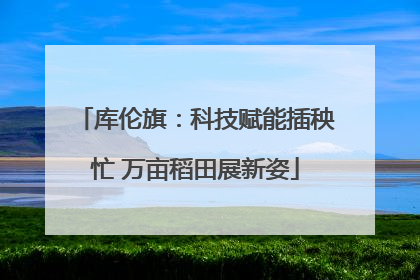 库伦旗：科技赋能插秧忙 万亩稻田展新姿