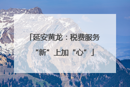 延安黄龙：税费服务“新”上加“心”
