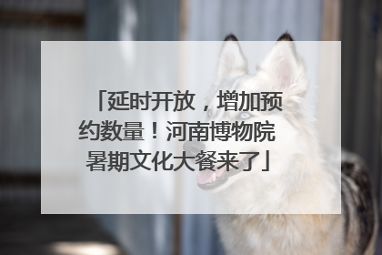 延时开放，增加预约数量！河南博物院暑期文化大餐来了