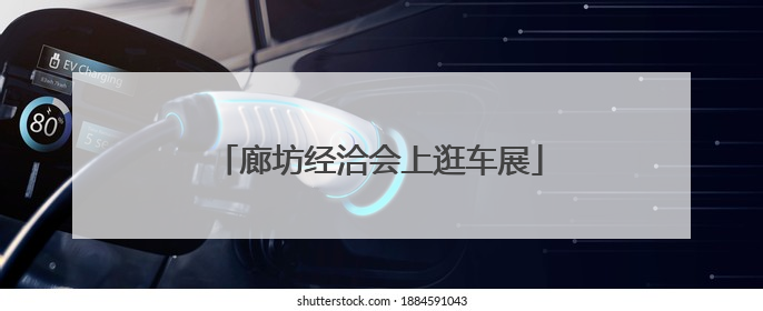 廊坊经洽会上逛车展