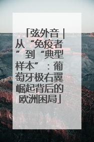 弦外音｜从“免疫者”到“典型样本”：葡萄牙极右翼崛起背后的欧洲困局