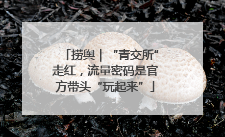 捞舆｜“青交所”走红，流量密码是官方带头“玩起来”