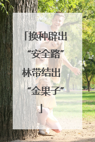 换种辟出“安全路” 林带结出“金果子”