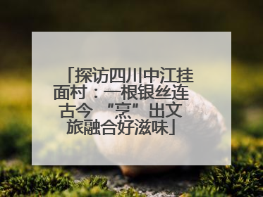 探访四川中江挂面村：一根银丝连古今 “烹”出文旅融合好滋味