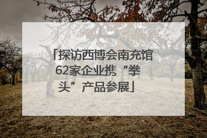 探访西博会南充馆 62家企业携“拳头”产品参展