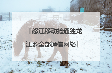 怒江移动抢通独龙江乡全部通信网络