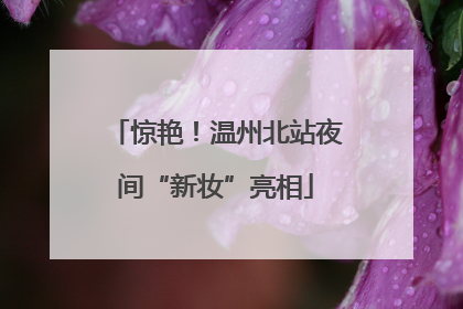 惊艳！温州北站夜间“新妆”亮相