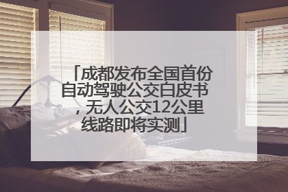 成都发布全国首份自动驾驶公交白皮书，无人公交12公里线路即将实测