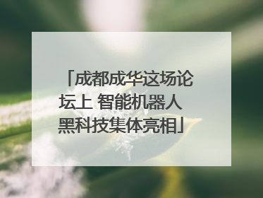 成都成华这场论坛上 智能机器人黑科技集体亮相