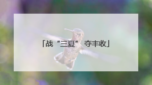 战“三夏” 夺丰收