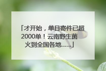 才开始，单日寄件已超2000单！云南野生菌火到全国各地……