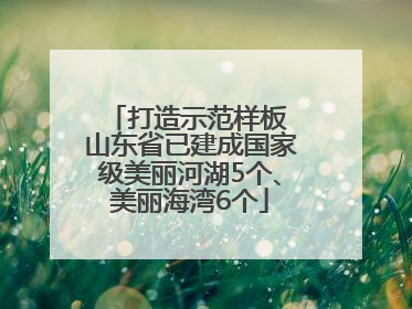 打造示范样板 山东省已建成国家级美丽河湖5个、美丽海湾6个