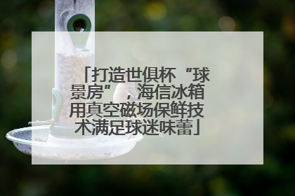 打造世俱杯“球景房”，海信冰箱用真空磁场保鲜技术满足球迷味蕾