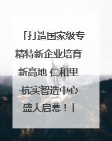 打造国家级专精特新企业培育新高地 仁和里·杭实智造中心盛大启幕！