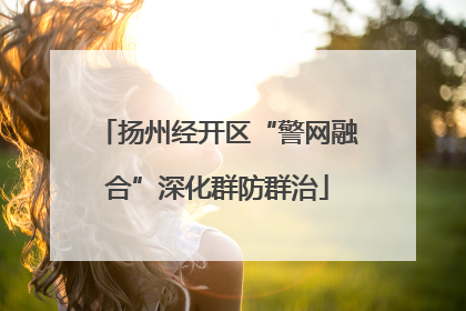 扬州经开区“警网融合”深化群防群治