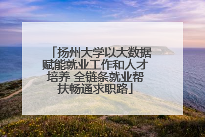 扬州大学以大数据赋能就业工作和人才培养 全链条就业帮扶畅通求职路
