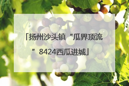 扬州沙头镇“瓜界顶流”8424西瓜进城