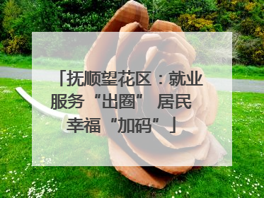 抚顺望花区：就业服务“出圈” 居民幸福“加码”