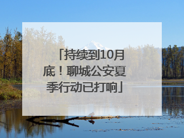 持续到10月底！聊城公安夏季行动已打响