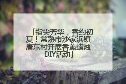 指尖芳华，香约初夏！常熟市沙家浜镇唐东村开展香薰蜡烛DIY活动