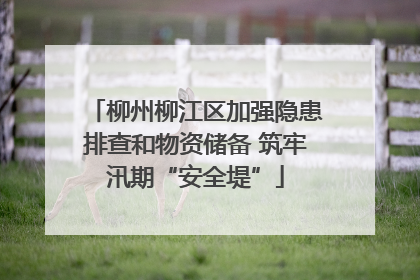柳州柳江区加强隐患排查和物资储备 筑牢汛期“安全堤”