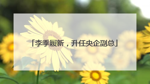 李季履新，升任央企副总