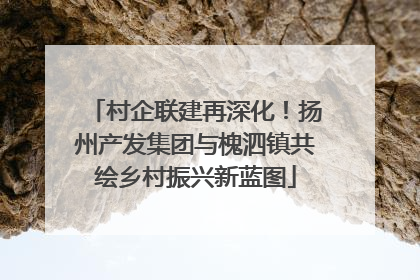 村企联建再深化！扬州产发集团与槐泗镇共绘乡村振兴新蓝图