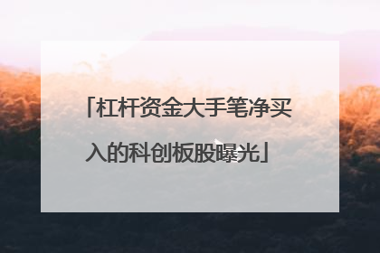 杠杆资金大手笔净买入的科创板股曝光