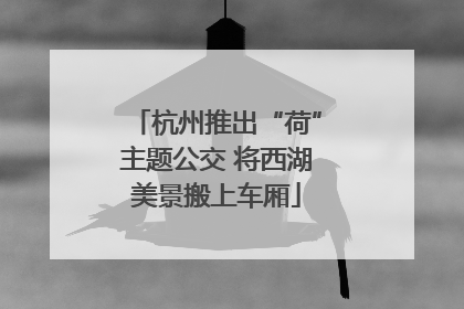 杭州推出“荷”主题公交 将西湖美景搬上车厢