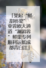 架起“鲜甜桥梁” 亚蓉欧大通道“澜湄蓉”鲜果专列顺利运抵成都青白江