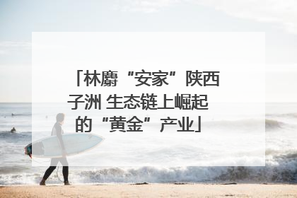 林麝“安家”陕西子洲 生态链上崛起的“黄金”产业