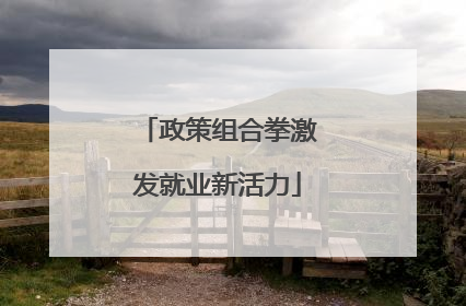 政策组合拳激发就业新活力