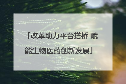 改革助力平台搭桥 赋能生物医药创新发展