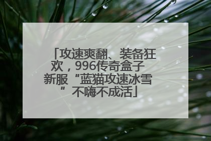 攻速爽翻、装备狂欢，996传奇盒子新服“蓝猫攻速冰雪”不嗨不成活