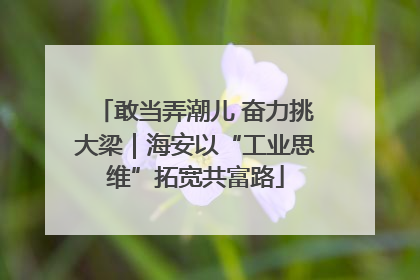 敢当弄潮儿 奋力挑大梁｜海安以“工业思维”拓宽共富路