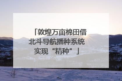 敦煌万亩棉田借北斗导航播种系统实现“精种”