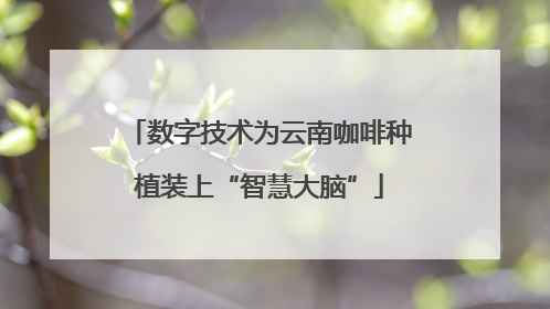 数字技术为云南咖啡种植装上“智慧大脑”