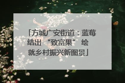方城广安街道：蓝莓结出 “致富果” 绘就乡村振兴新图景