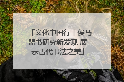 文化中国行丨侯马盟书研究新发现 展示古代书法之美