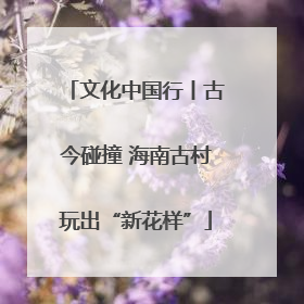 文化中国行丨古今碰撞 海南古村玩出“新花样”