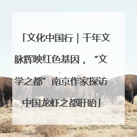 文化中国行｜千年文脉辉映红色基因，“文学之都”南京作家探访中国龙虾之都盱眙