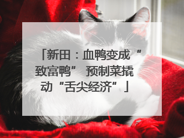 新田：血鸭变成“致富鸭” 预制菜撬动“舌尖经济”