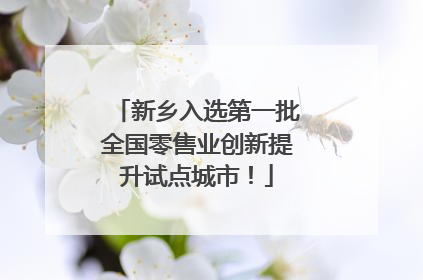 新乡入选第一批全国零售业创新提升试点城市！