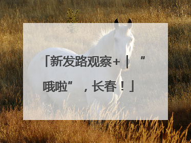 新发路观察+｜“哦啦”，长春！