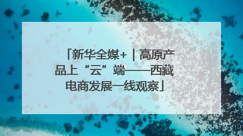 新华全媒+｜高原产品上“云”端——西藏电商发展一线观察