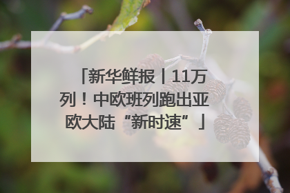 新华鲜报丨11万列！中欧班列跑出亚欧大陆“新时速”