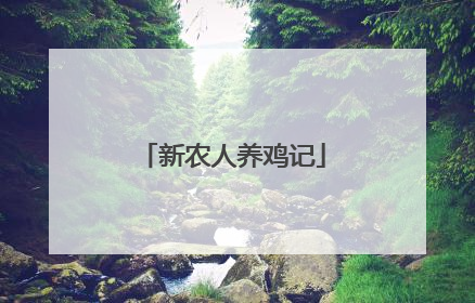 新农人养鸡记