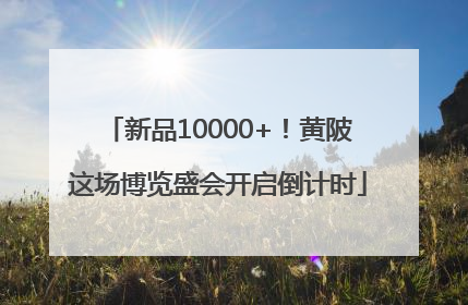 新品10000+！黄陂这场博览盛会开启倒计时